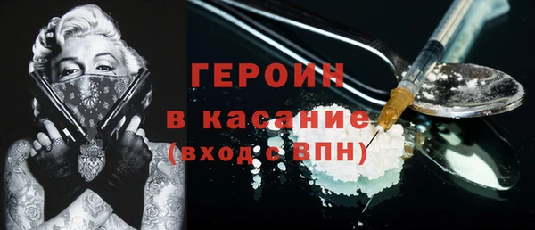 индика Алексин