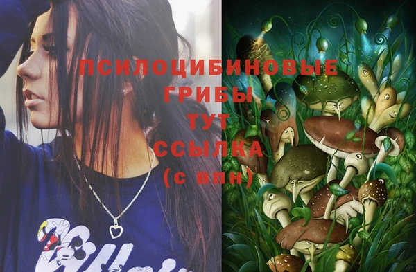 дмт Алексеевка
