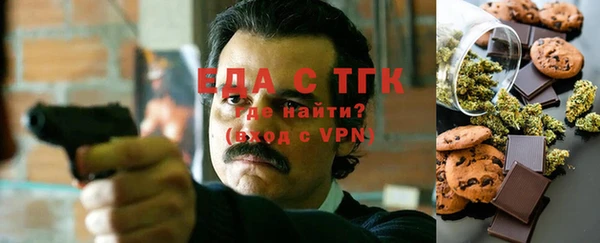 индика Алексин