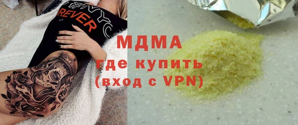 индика Алексин