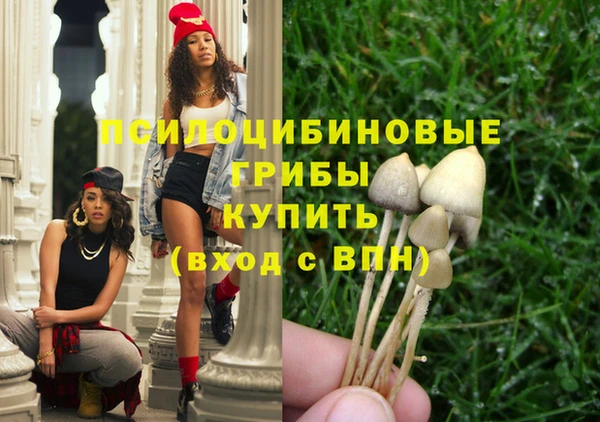 индика Алексин