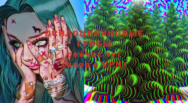 амф Алзамай