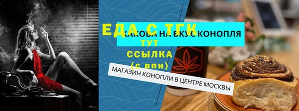 индика Алексин