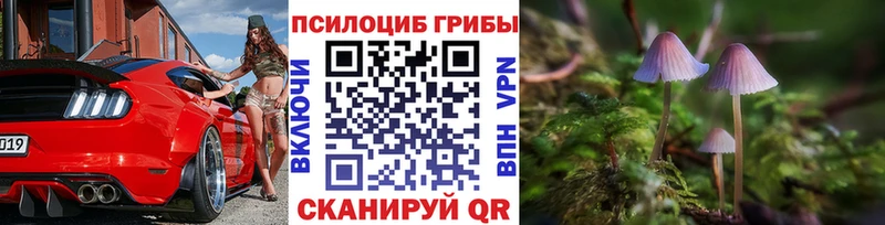 OMG рабочий сайт  Арск  Галлюциногенные грибы MAGIC MUSHROOMS 